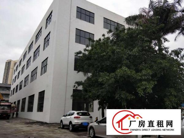  横沥镇新出全新独栋厂房4800平方，带3吨货梯！可分租