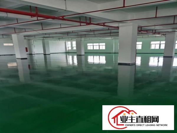  横沥镇西城工业区楼上厂房1500平招租，可办环评