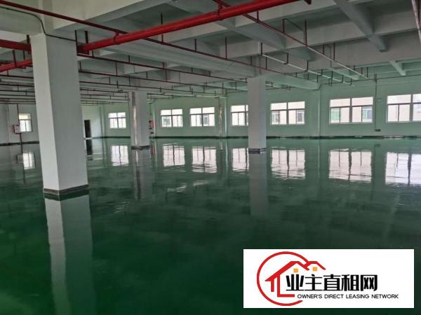  横沥镇西城工业区楼上厂房1500平招租，可办环评