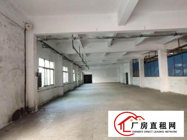  标准厂房一楼带装修出租可分租电费便宜可开票