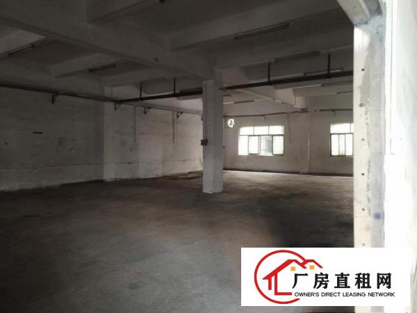  标准厂房一楼带装修出租可分租电费便宜可开票