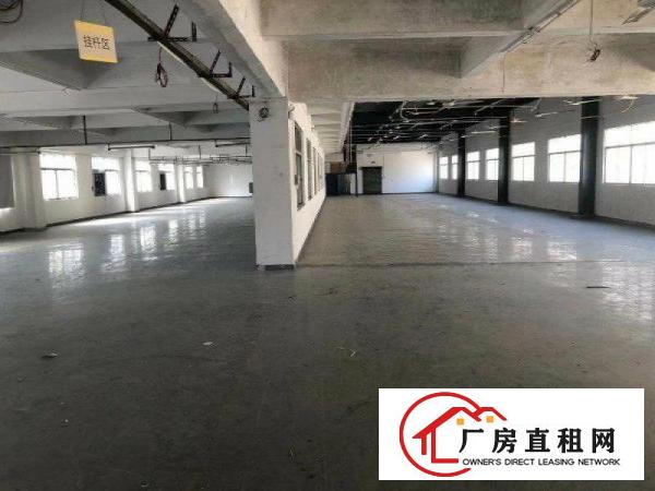  原房东独院厂房，一栋两层3600平方米，消防喷淋，空地超大