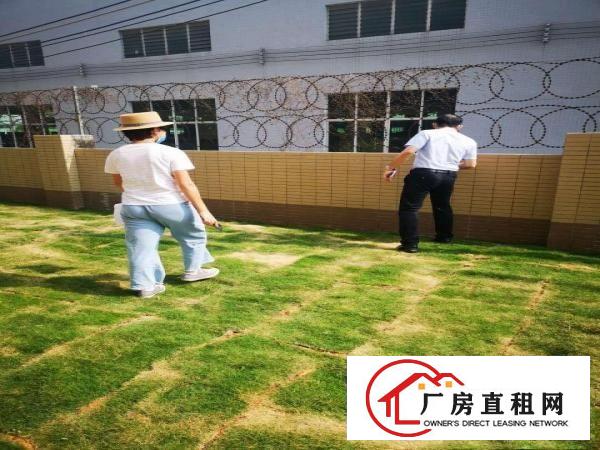  横沥镇新出带无尘车间600平方精装修实际面积出租可做创库