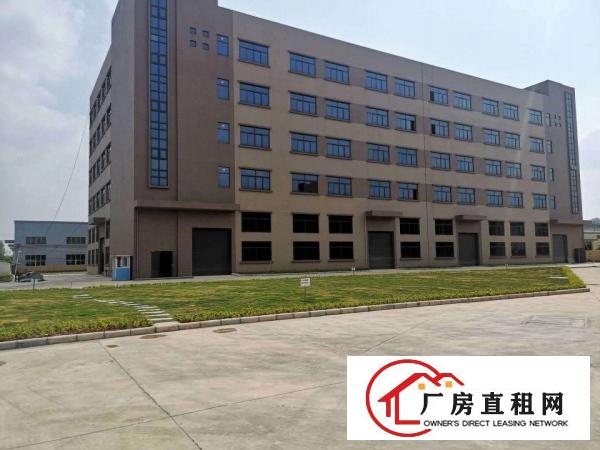  横沥镇新出带无尘车间600平方精装修实际面积出租可做创库