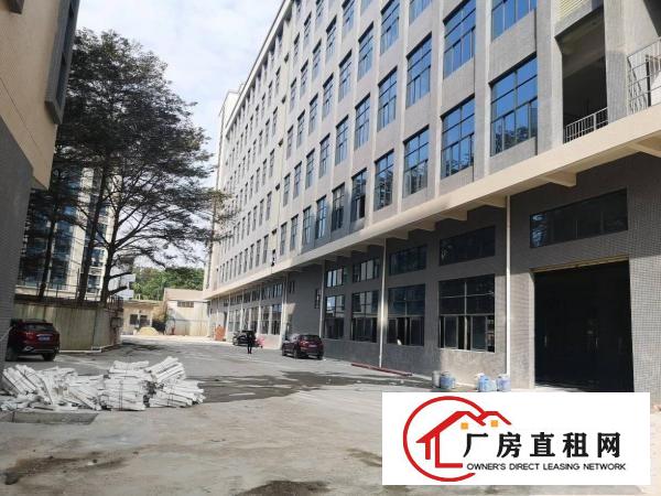  横沥新出村委全新厂房8层1万平方大小可以分