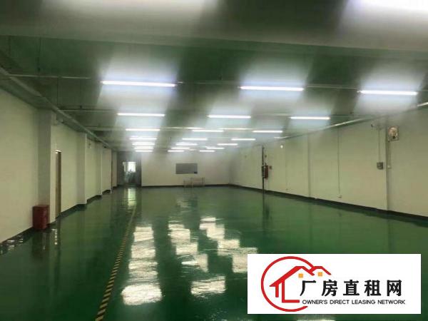  横沥镇三江工业区无尘车间厂房850平方招租，可做口罩