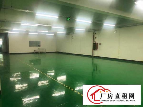  横沥镇三江工业区无尘车间厂房850平方招租，可做口罩