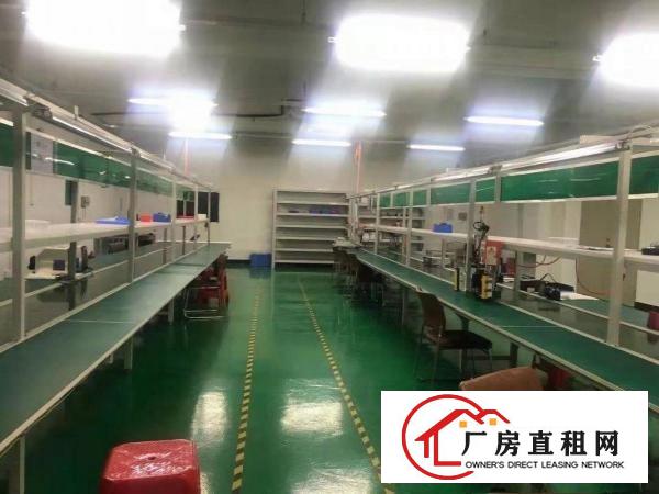  横沥镇三江工业区无尘车间厂房850平方招租，可做口罩