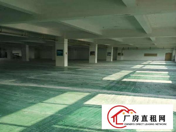  新出原房东独院厂房3200平方，带地坪漆，可办环评，价格便宜