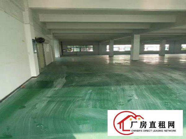  新出原房东独院厂房3200平方，带地坪漆，可办环评，价格便宜