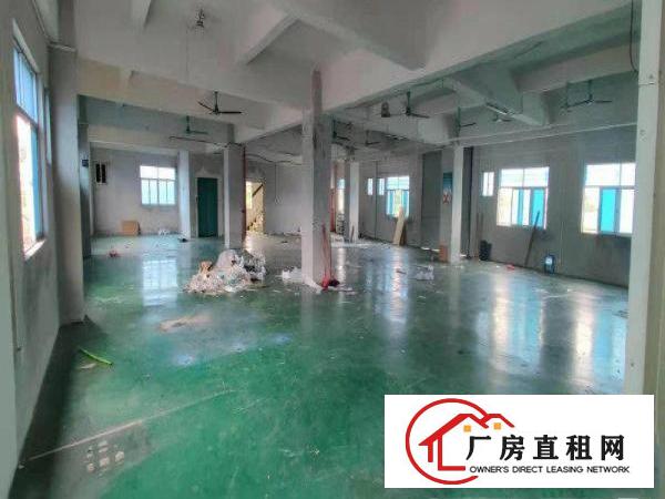  全新原房东独院标准厂房出租带红本国土证，消防喷淋,可分租