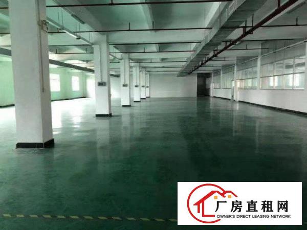  全新原房东独院标准厂房出租带红本国土证，消防喷淋,可分租