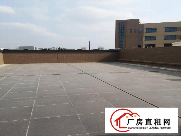  横沥镇新出原房东实际面积单一层1600平方带航车300起