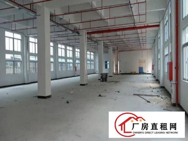  东莞市横沥镇东部快线边上大型工业区按需分租