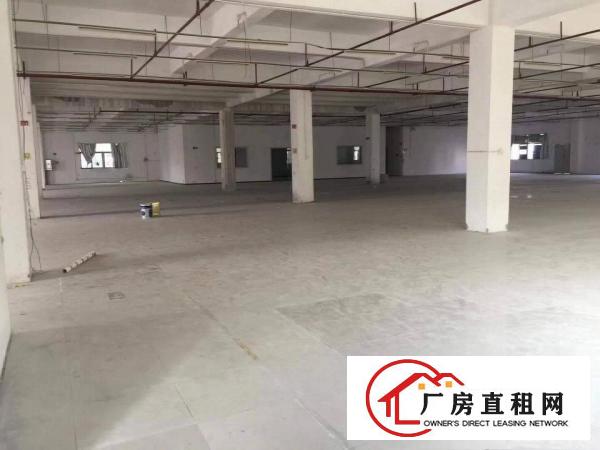  东莞市横沥镇东部快线边上大型工业区按需分租