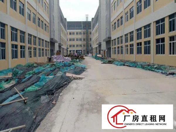  东莞市横沥镇东部快线边上大型工业区按需分租
