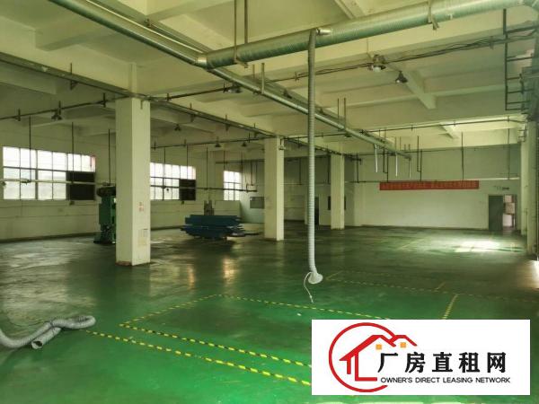 横沥西城三区原房东小独院厂房出租5000平方交通方便易招工