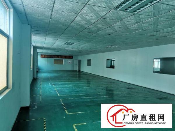  横沥西城三区原房东小独院厂房出租5000平方交通方便易招工