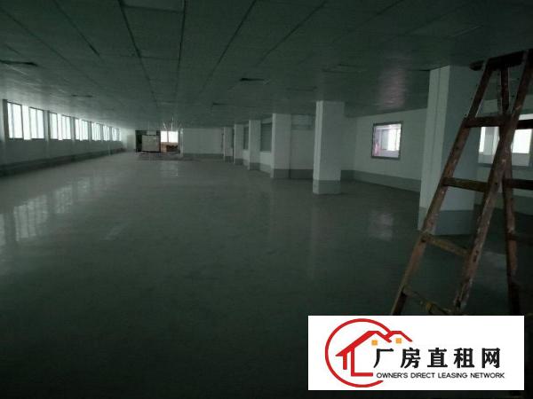  横沥三江工业区原房东独院厂房出租工业用地环评秒过总6500平