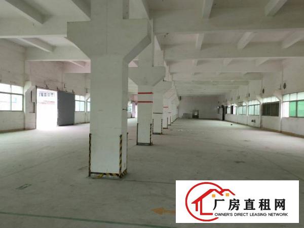  横沥三江工业区原房东独院厂房出租工业用地环评秒过总6500平