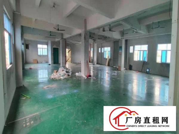  标准出来二楼1500平方，带地坪漆，消防喷淋，价格便宜