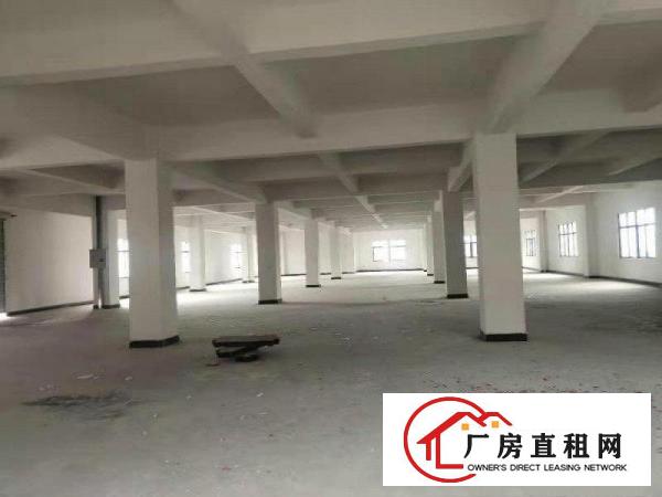  新原房东出标准厂房三层面积共3300平方，空地超大，白菜价