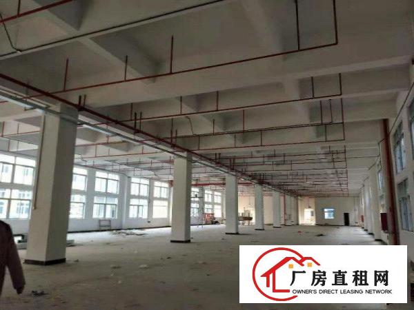  新原房东出标准厂房三层面积共3300平方，空地超大，白菜价