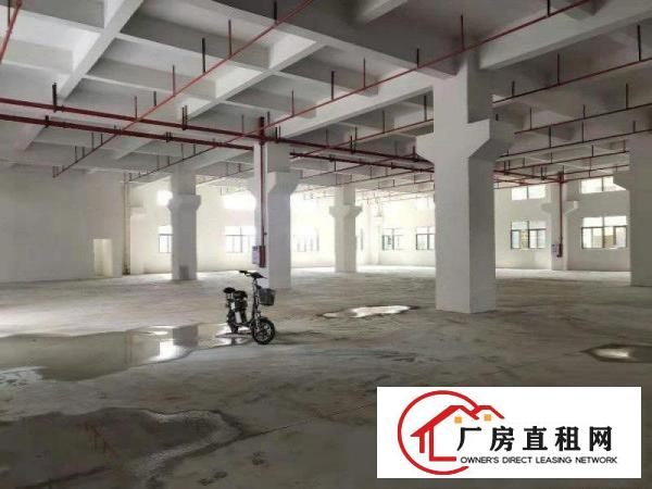  新原房东出标准厂房三层面积共3300平方，空地超大，白菜价