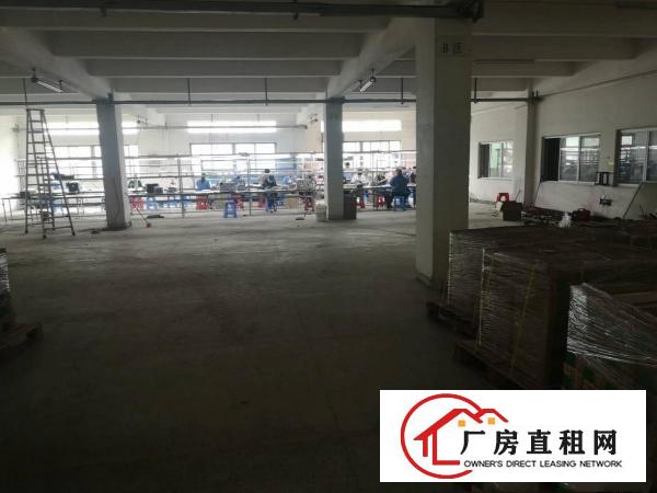  横沥镇新出楼上2000平方实用面积原房东直租500起分