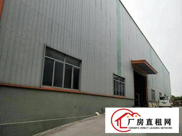  横沥镇新出原房东单一层钢结构2800平米，滴水8米