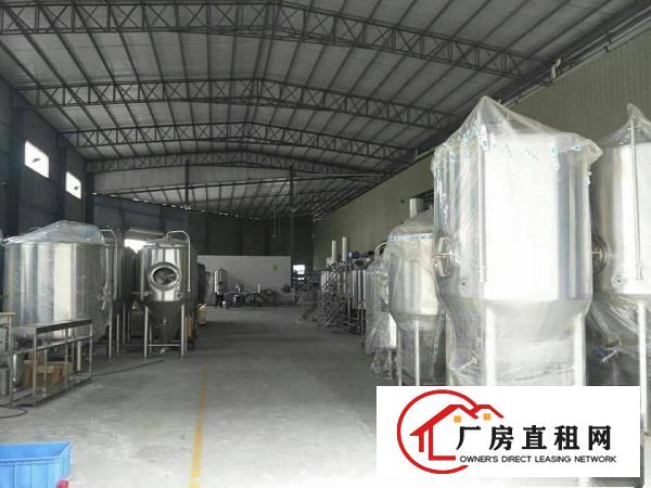  横沥镇新出原房东单一层钢结构2800平米，滴水8米
