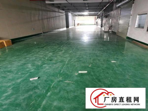  疫情影响捡漏机会即租即用东坑镇厂房便宜出租