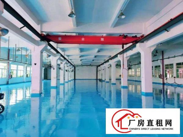  出租东坑镇独院厂房标准厂房办公楼宿舍
