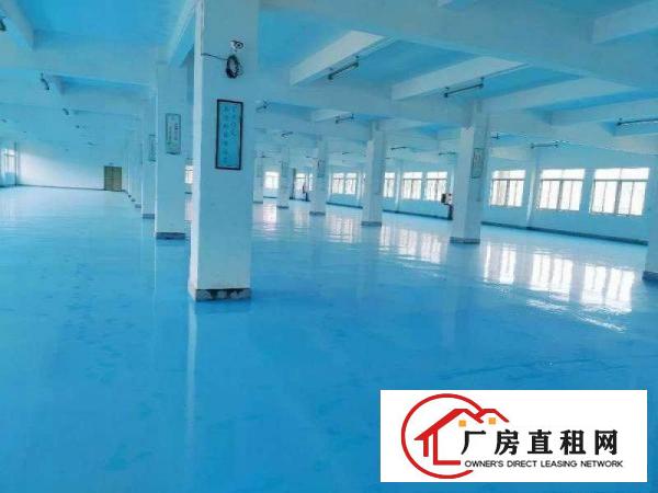  出租东坑镇独院厂房标准厂房办公楼宿舍