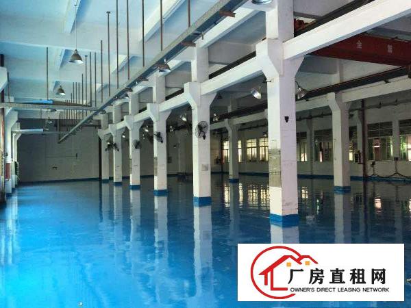  出租东坑镇独院厂房标准厂房办公楼宿舍