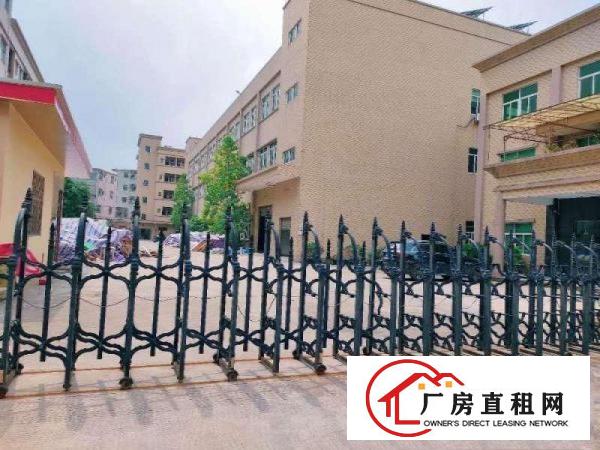  出租东坑镇独院厂房标准厂房办公楼宿舍