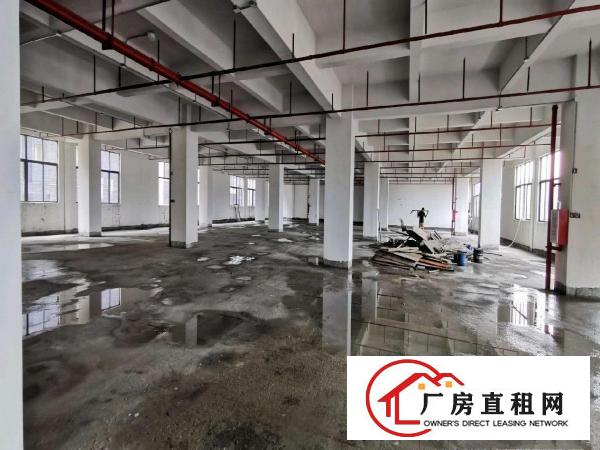  厂房出租仓库写字楼办公楼可分租出租