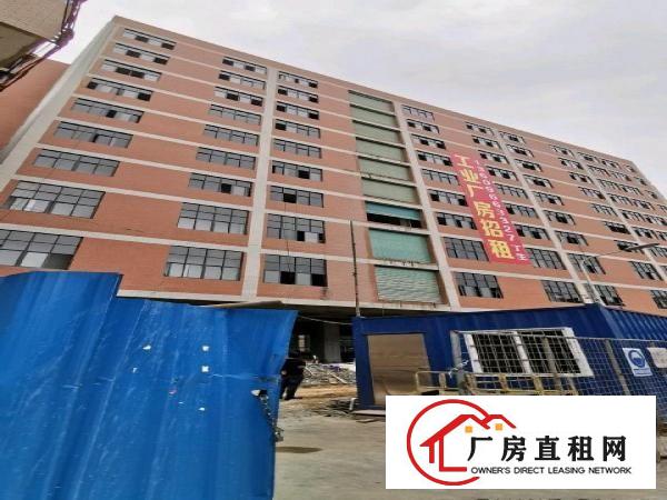  厂房出租仓库写字楼办公楼可分租出租