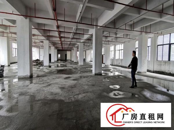  厂房出租仓库写字楼办公楼可分租出租