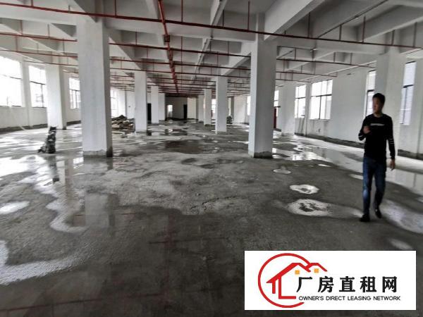  厂房出租仓库写字楼办公楼可分租出租