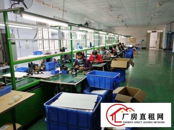  厂房内部装修一年多完好