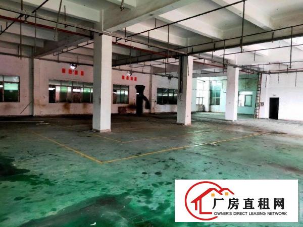  一楼高5米，现成办公室水电装修