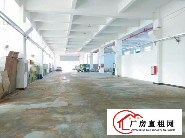  井美168工业区厂房出租1300㎡
