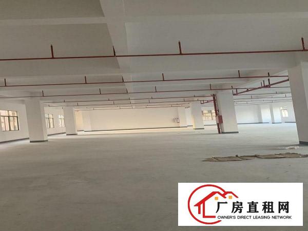 业主自建全新厂房单层1200平方米出租