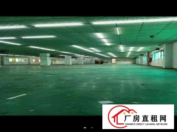 东坑工业园区8层2厂房每层2300平约租每平25元左右