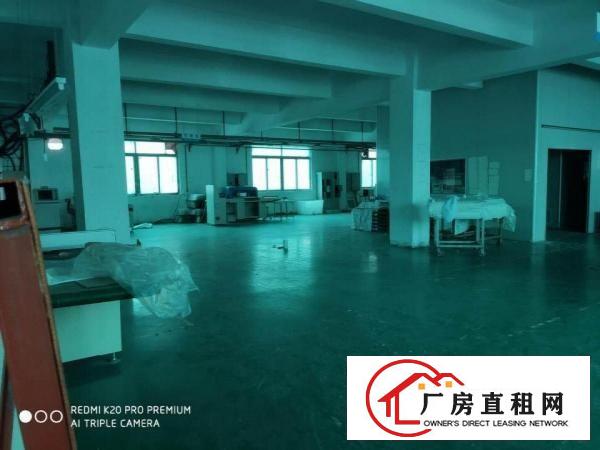  东坑原房东标准二楼1000平，零公摊，价格便宜