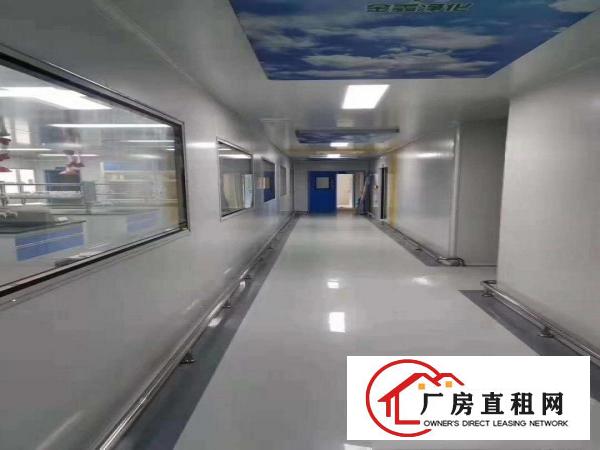  无尘车间，15000平方出租，有医疗资质