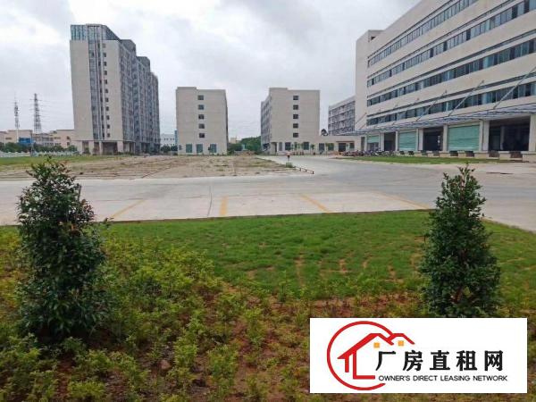  全新重工业厂房带红本出租