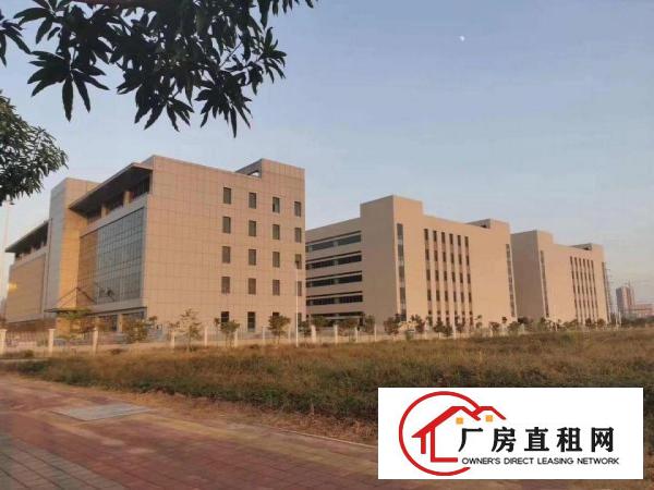  全新重工业厂房带红本出租
