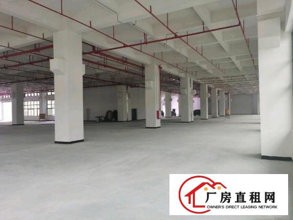  全新重工业厂房带红本出租